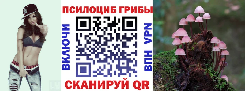 где можно купить наркотик  Череповец  Псилоцибиновые грибы MAGIC MUSHROOMS 